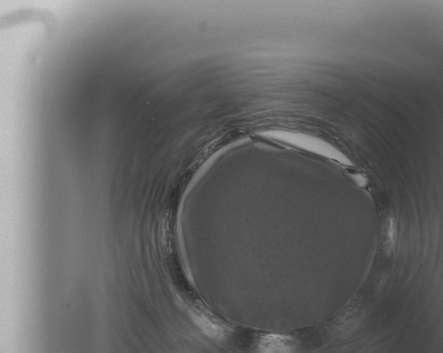 X0000080100222200612221747