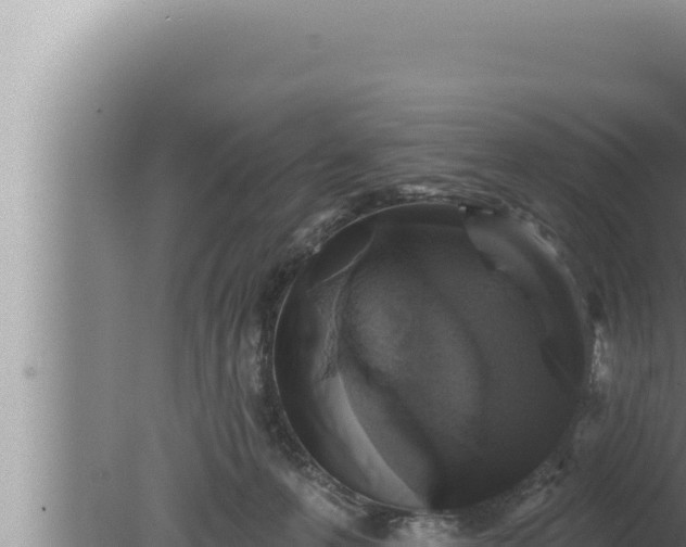 X0000080100223200612221747