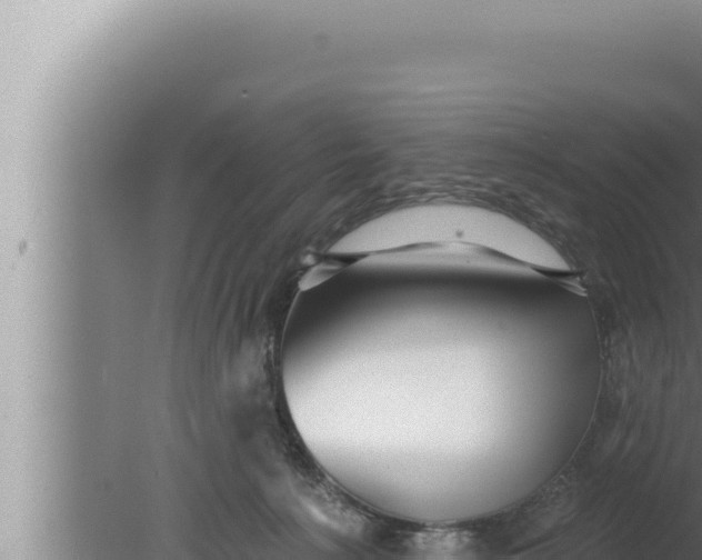 X0000080100225200612221747