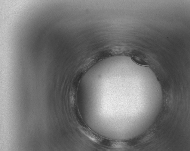 X0000080100226200612221747