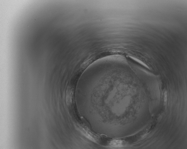 X0000080100227200612221747