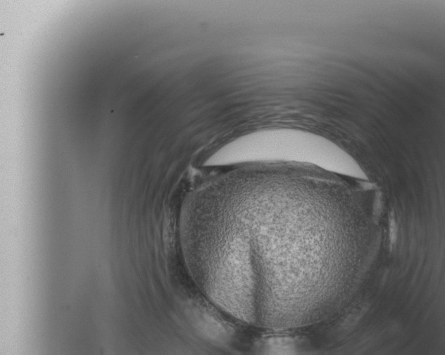 X0000080100228200612221747