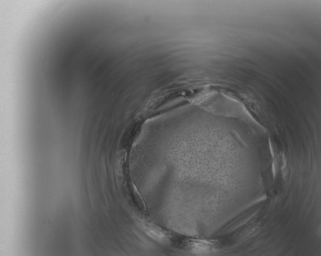 X0000080100229200612221747