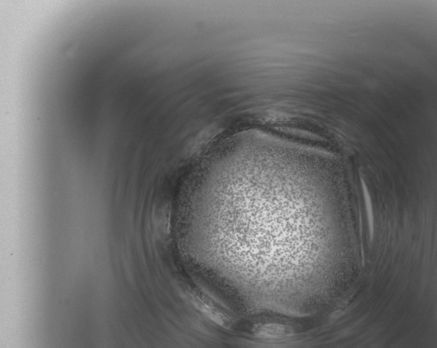 X0000080100230200612221747