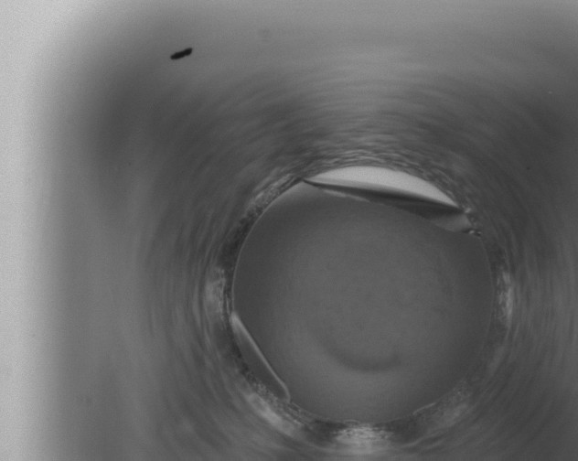 X0000080100231200612221747