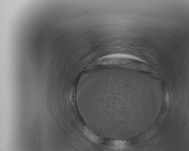 X0000080100233200612221747