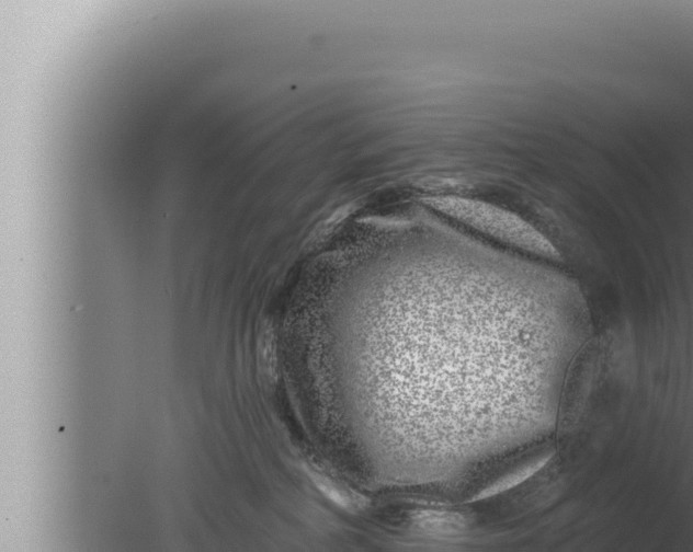 X0000080100234200612221747