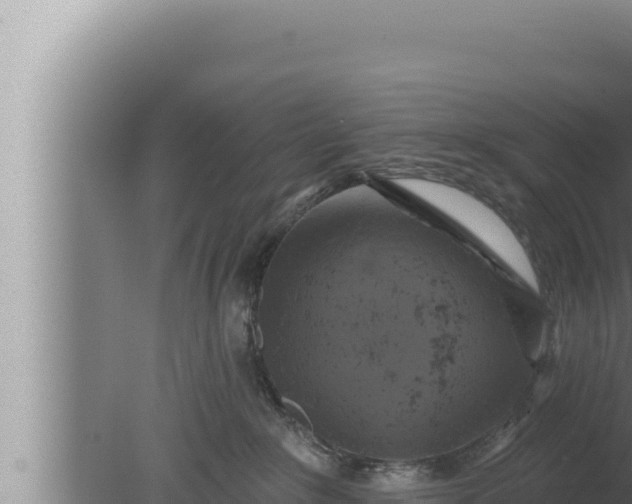 X0000080100235200612221747