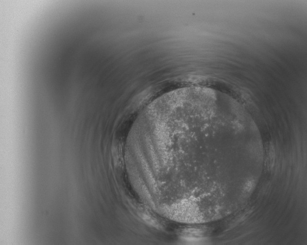 X0000080100236200612221747