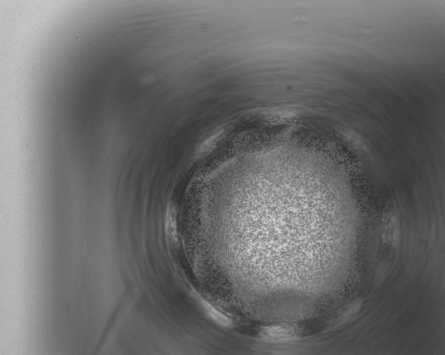 X0000080100238200612221747