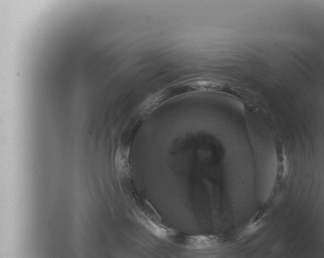 X0000080100239200612221747