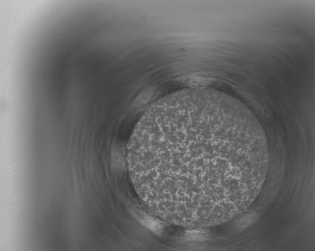 X0000080100240200612221747