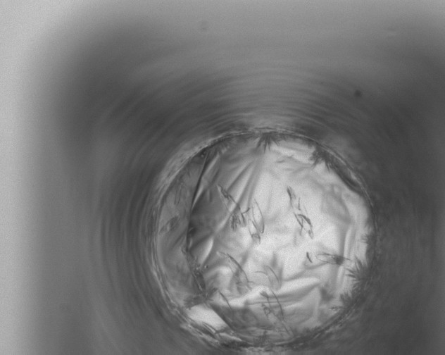 X0000080100241200612221746