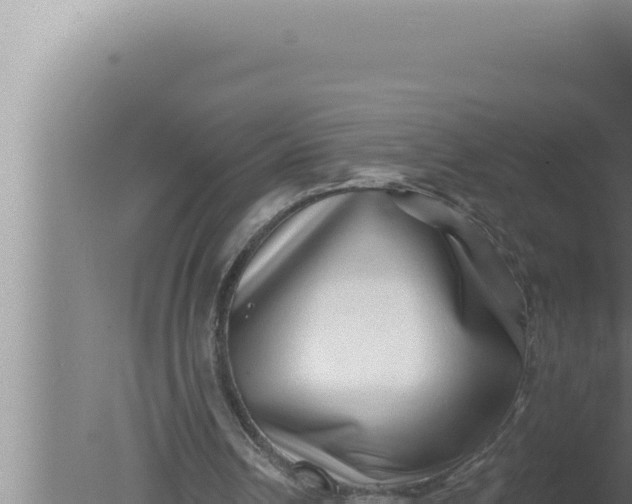 X0000080100242200612221746