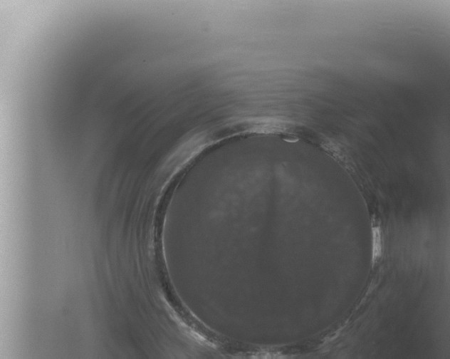 X0000080100243200612221746