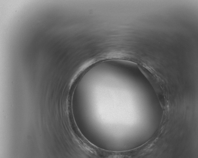 X0000080100244200612221746