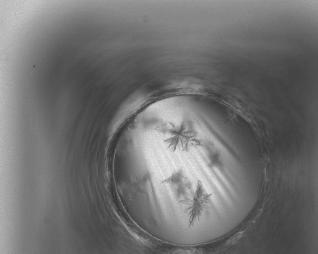 X0000080100245200612221746