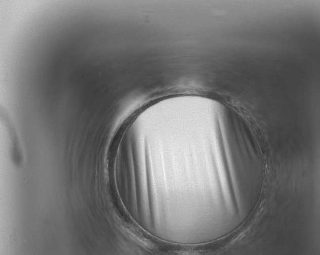 X0000080100246200612221746