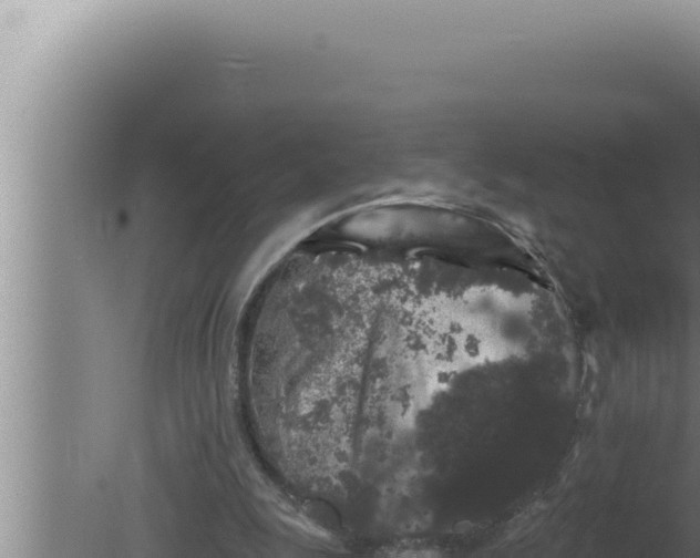 X0000080100247200612221746