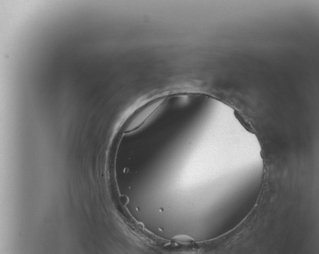 X0000080100248200612221746