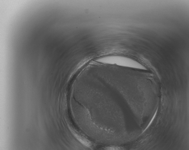 X0000080100250200612221746