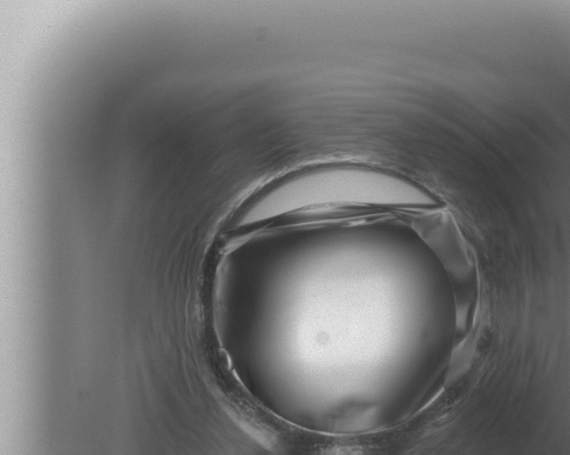 X0000080100252200612221746