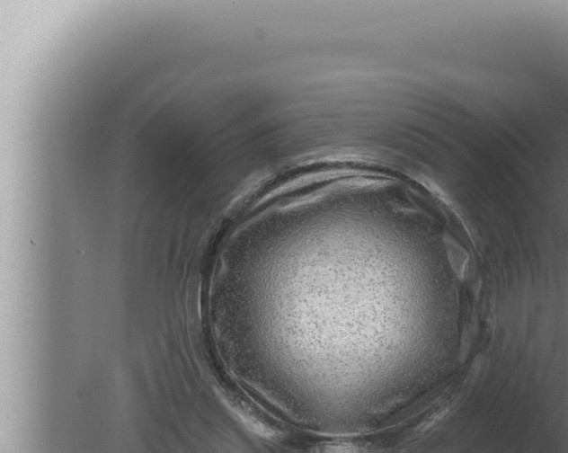 X0000080100253200612221746