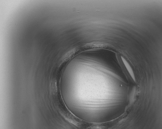 X0000080100254200612221746