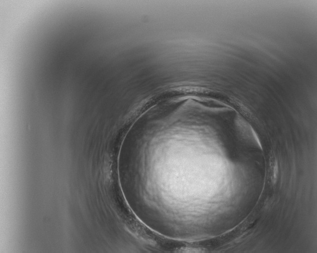 X0000080100255200612221746