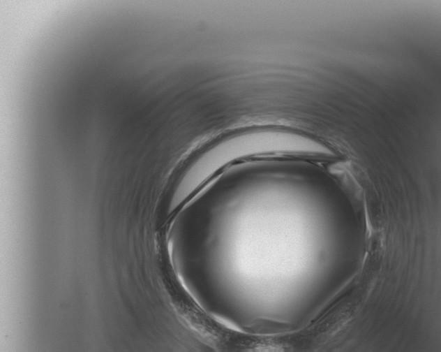 X0000080100256200612221746