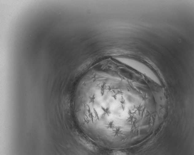 X0000080100257200612221746