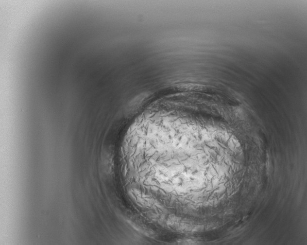 X0000080100259200612221746