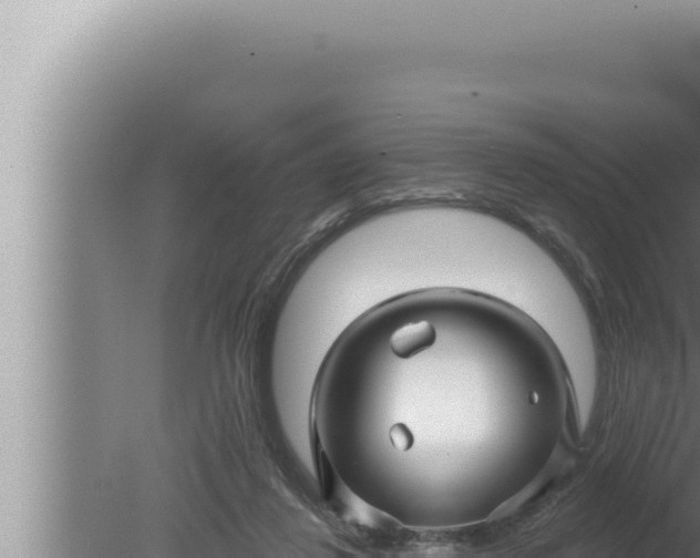 X0000080100260200612221746