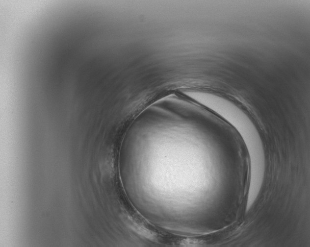 X0000080100261200612221746