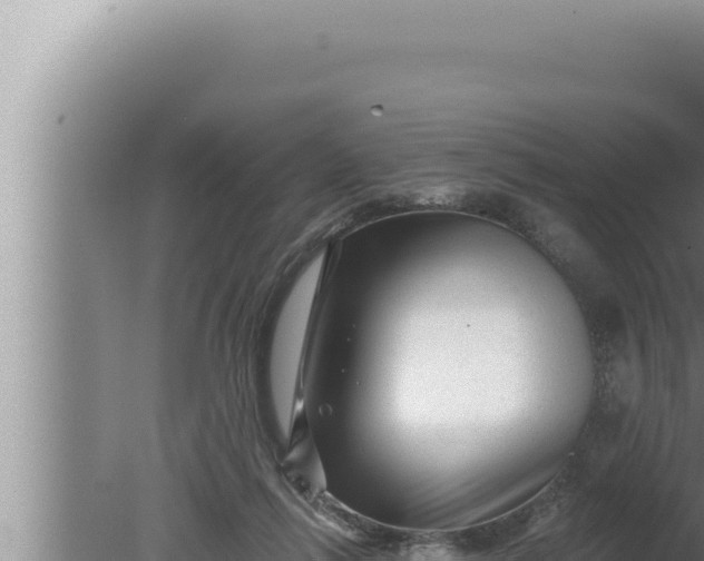 X0000080100262200612221746