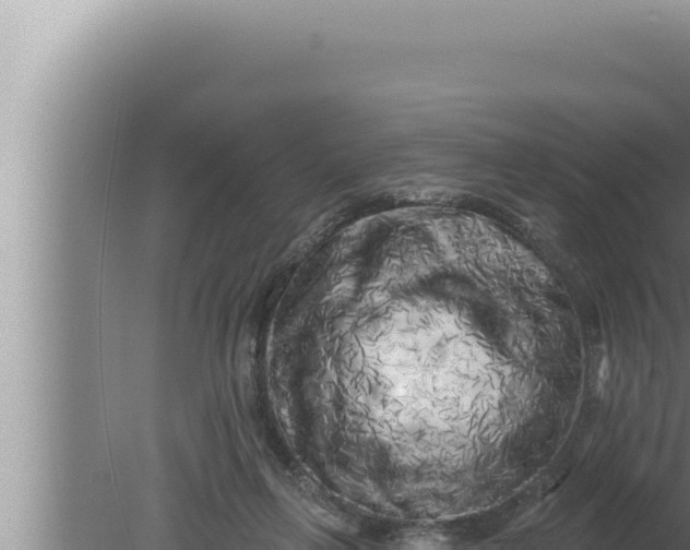 X0000080100263200612221746