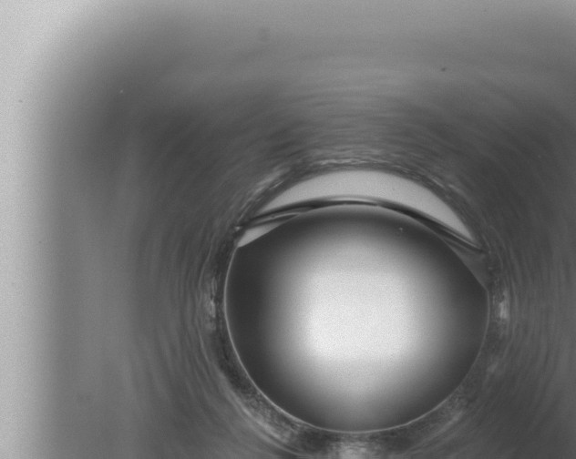 X0000080100264200612221746