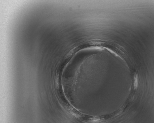 X0000080100267200612221746