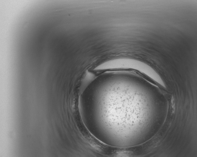 X0000080100268200612221746