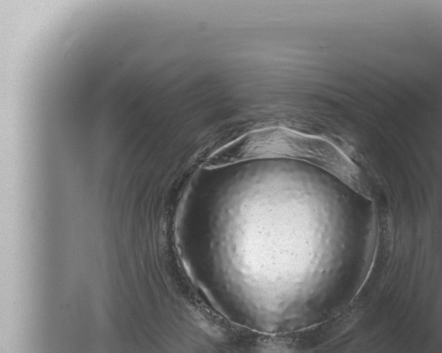 X0000080100269200612221746