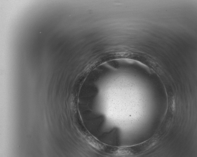 X0000080100270200612221746