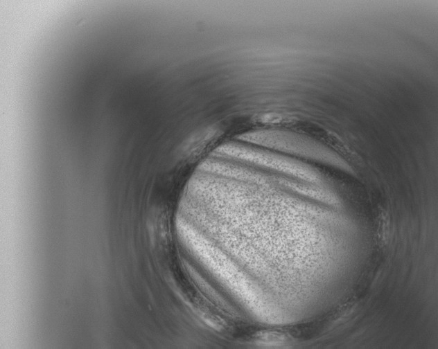 X0000080100272200612221746