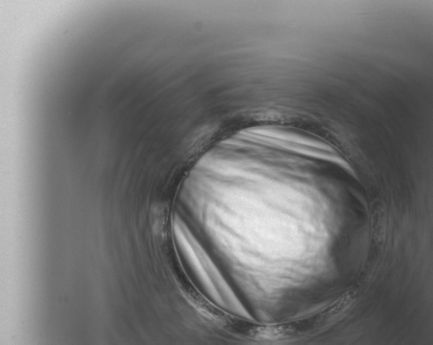 X0000080100273200612221746