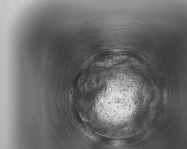 X0000080100275200612221746