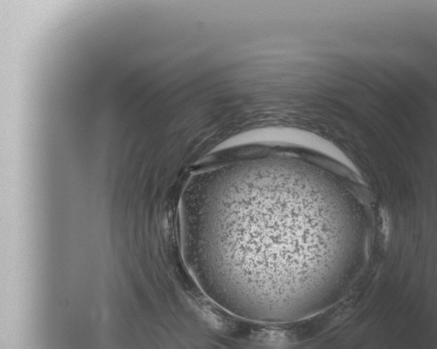 X0000080100276200612221746