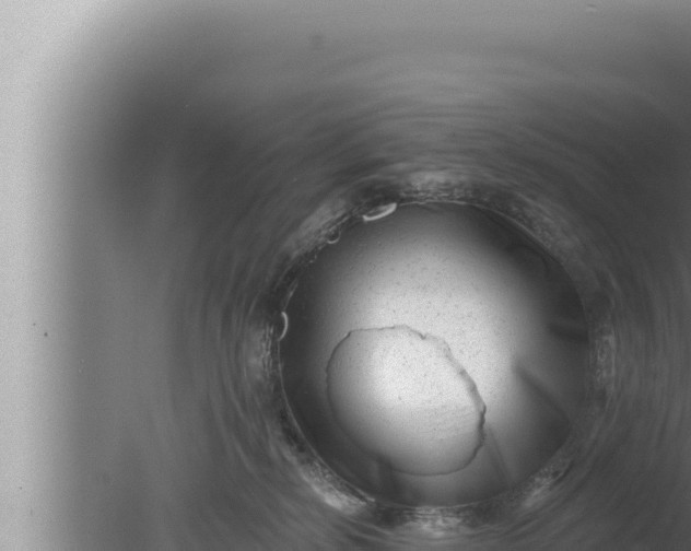 X0000080100278200612221746