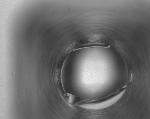 X0000080100280200612221746