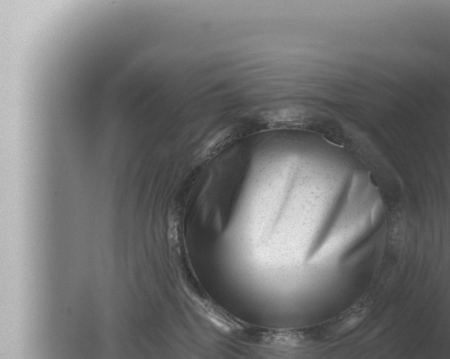 X0000080100282200612221746