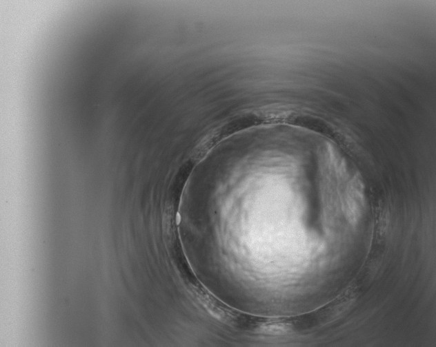 X0000080100283200612221746