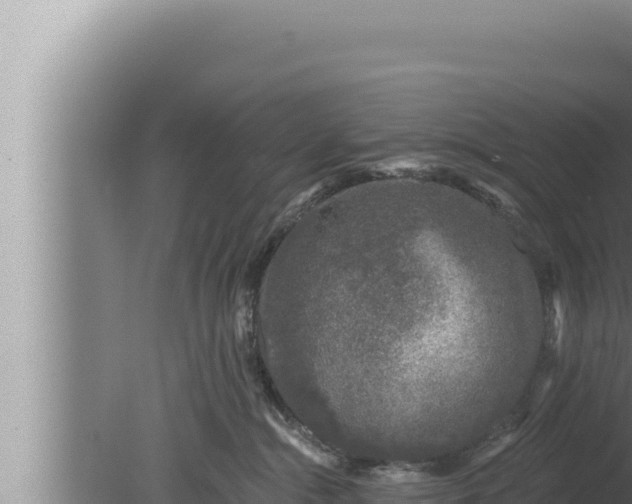 X0000080100284200612221747